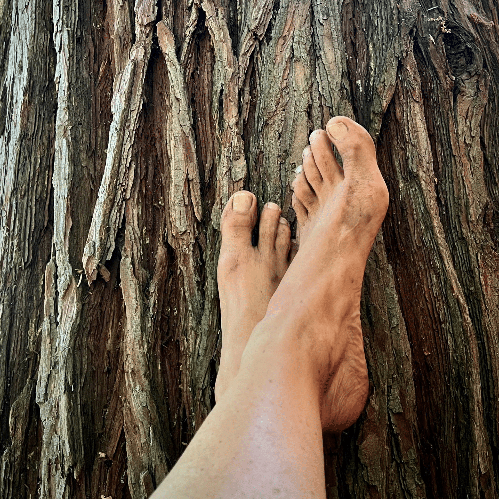feet resting on cedar tree trunk