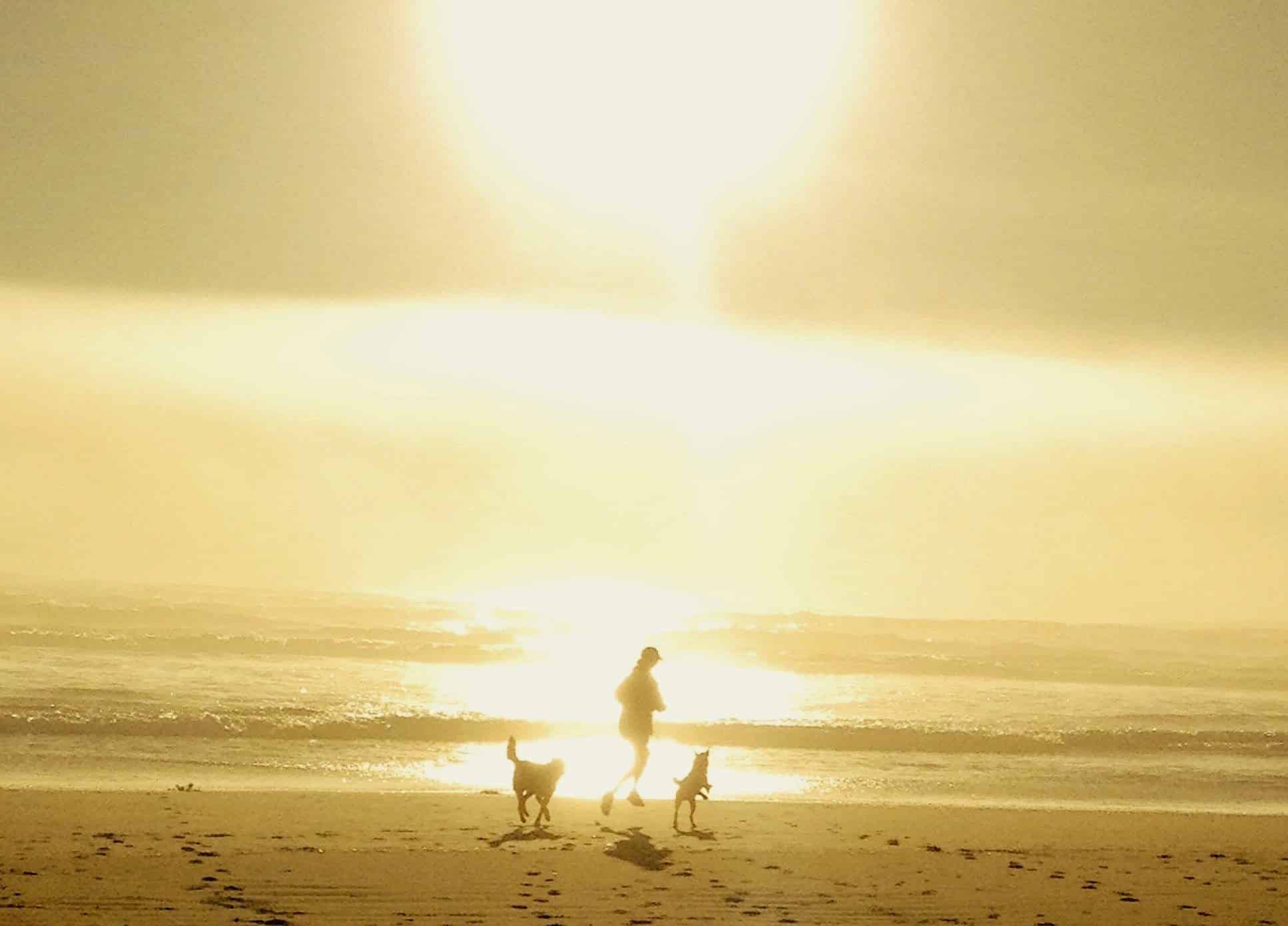 Silhouette running along the beach at sunset with my two dogs