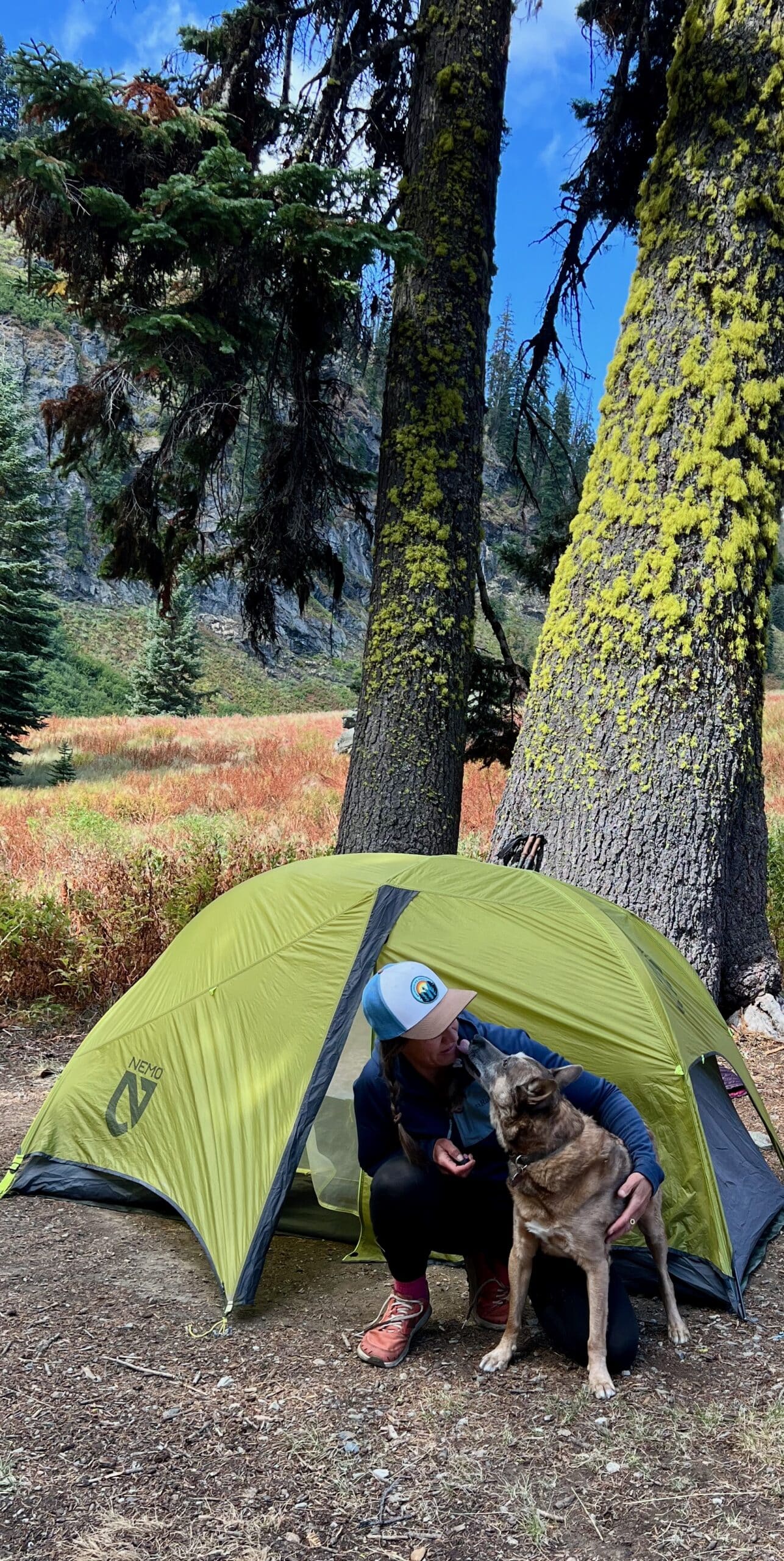 Sitting outside a green tent in a mountain meadow with my dog, a quiet moment in nature